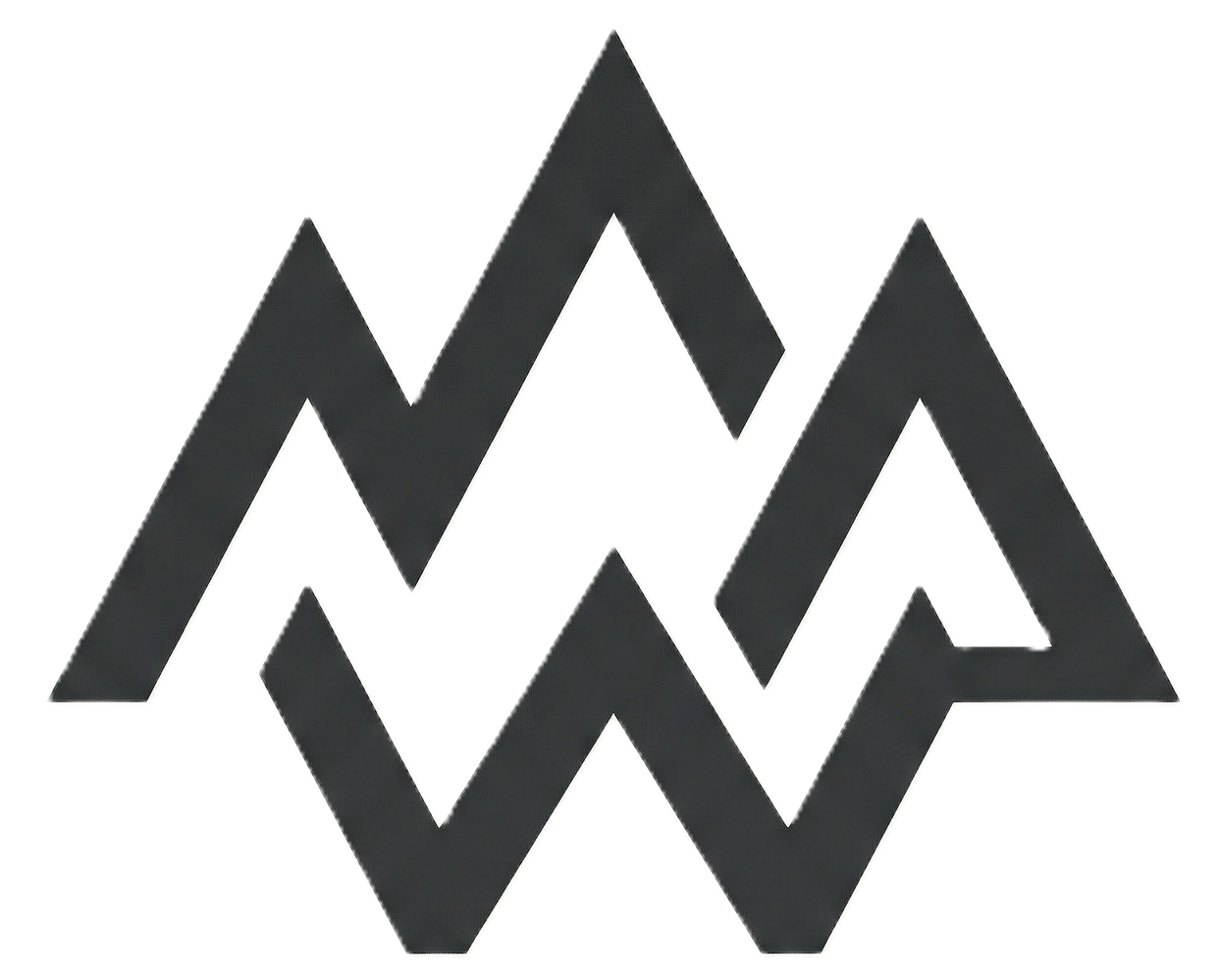 Weerocks geometric W logo